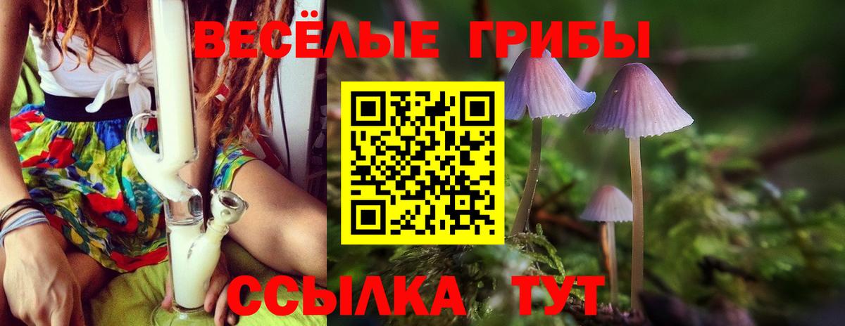 Алексин  Псилоцибиновые грибы Cubensis  Галлюциногенные грибы Psilocybe  Вход с VPN 